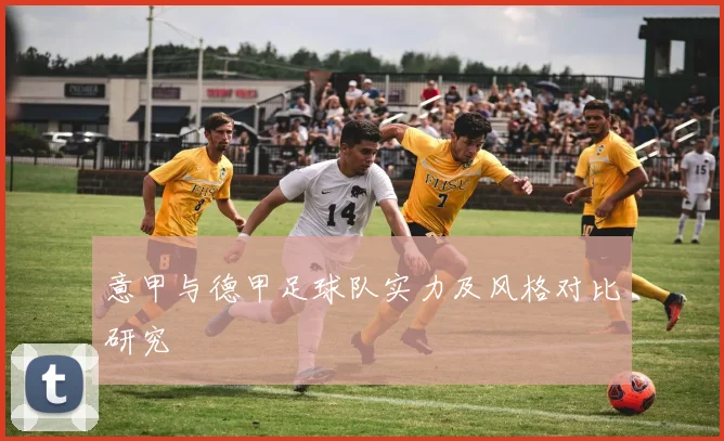 意甲与德甲足球队实力及风格对比研究