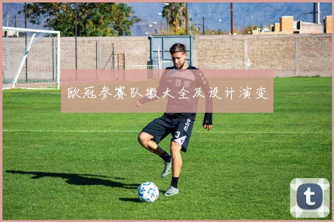 欧冠参赛队徽大全及设计演变