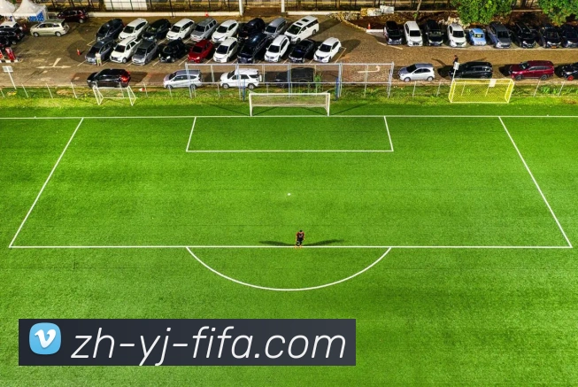 数据防护可视化